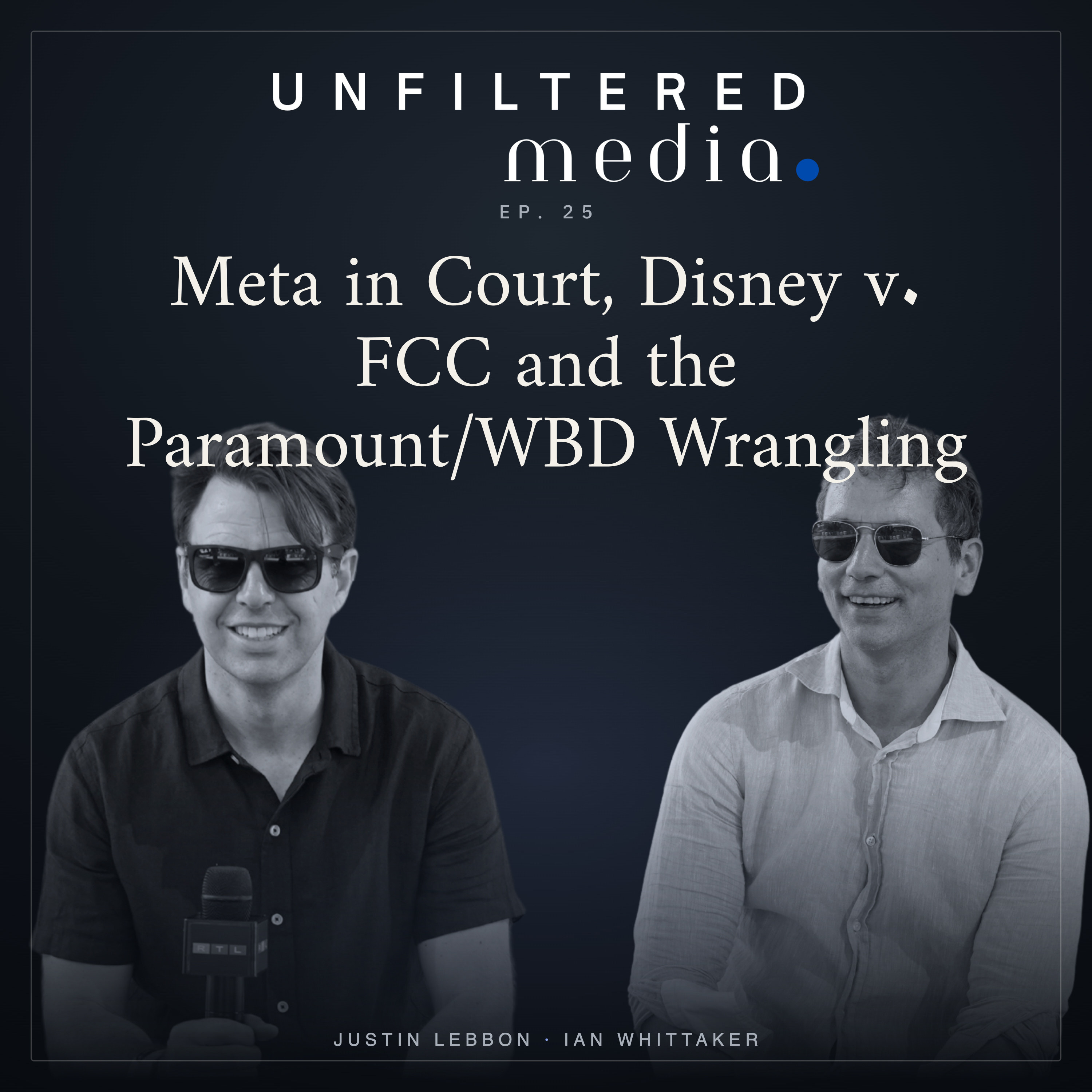 Meta in Court, Disney v. FCC and the Paramount/WBD Wrangling
